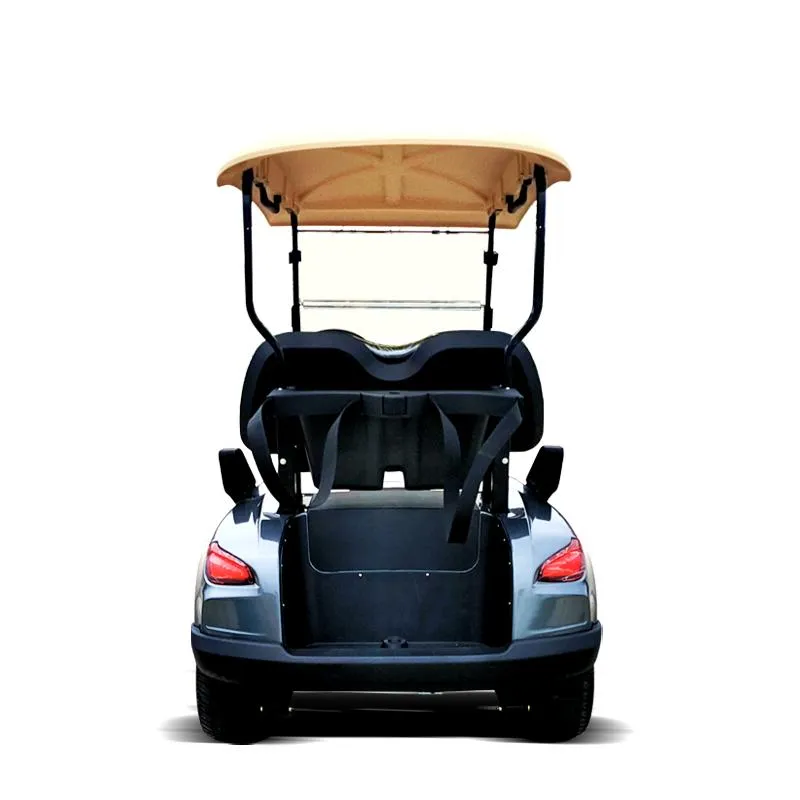 30 Km/H Golf Trolley Electric Club Cart Hkgr-C2 Lsv