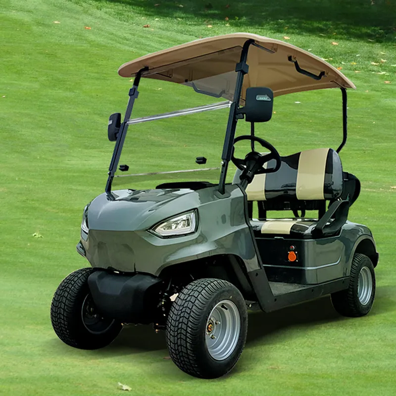 30 Km/H Lsv Electric Club Cart with DOT Factory Price Hkgr-C2