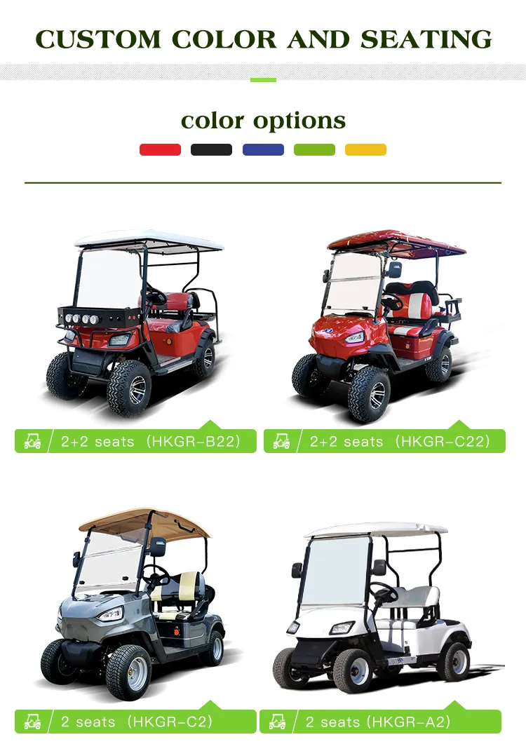 30 Km/H Lsv Electric Club Cart with DOT Factory Price Hkgr-C2