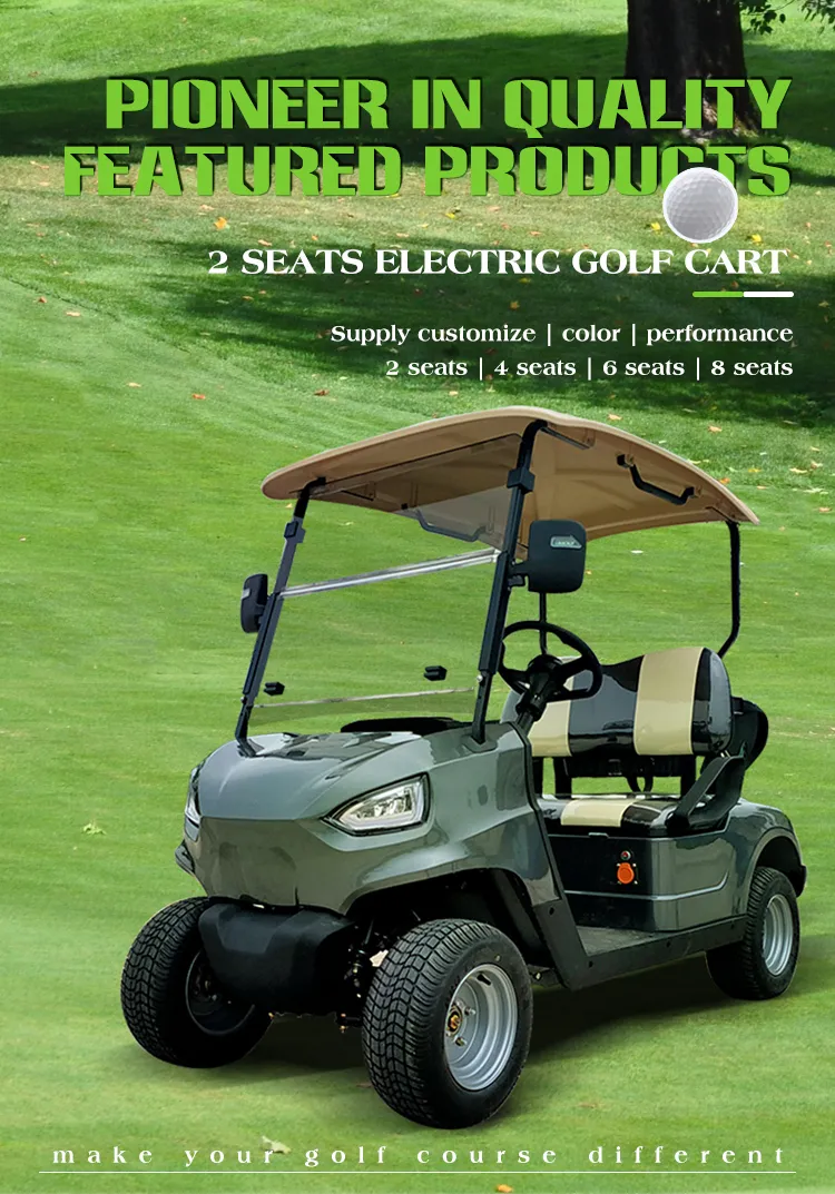 30 Km/H Lsv Electric Club Cart with DOT Factory Price Hkgr-C2