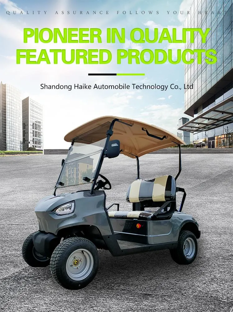 48V 4kw Haike Container 2400*1190*1800mm Shandong, China 2 Person Golf Cart