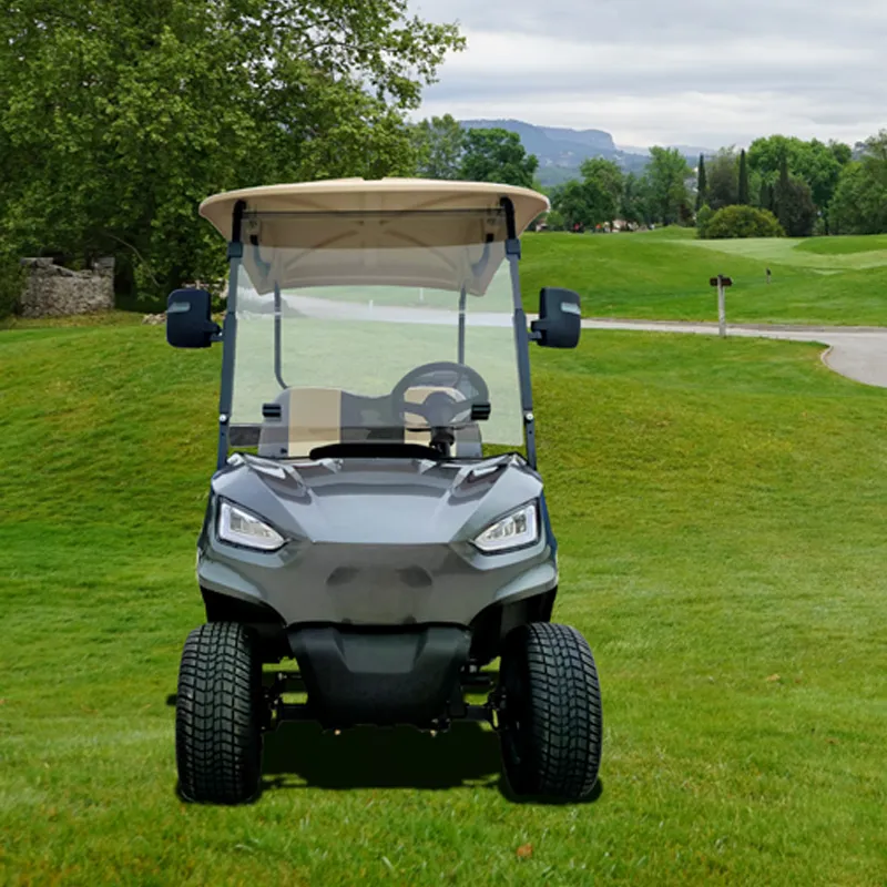 Buggy/Golf Carts Can Be Cutomized Jinhaike Packed and Loaded by Container Kart Golf Car