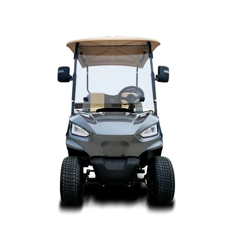 CE Approved 48V Chinese Carts for Sale Electric Golf Cart Hkgr-C2