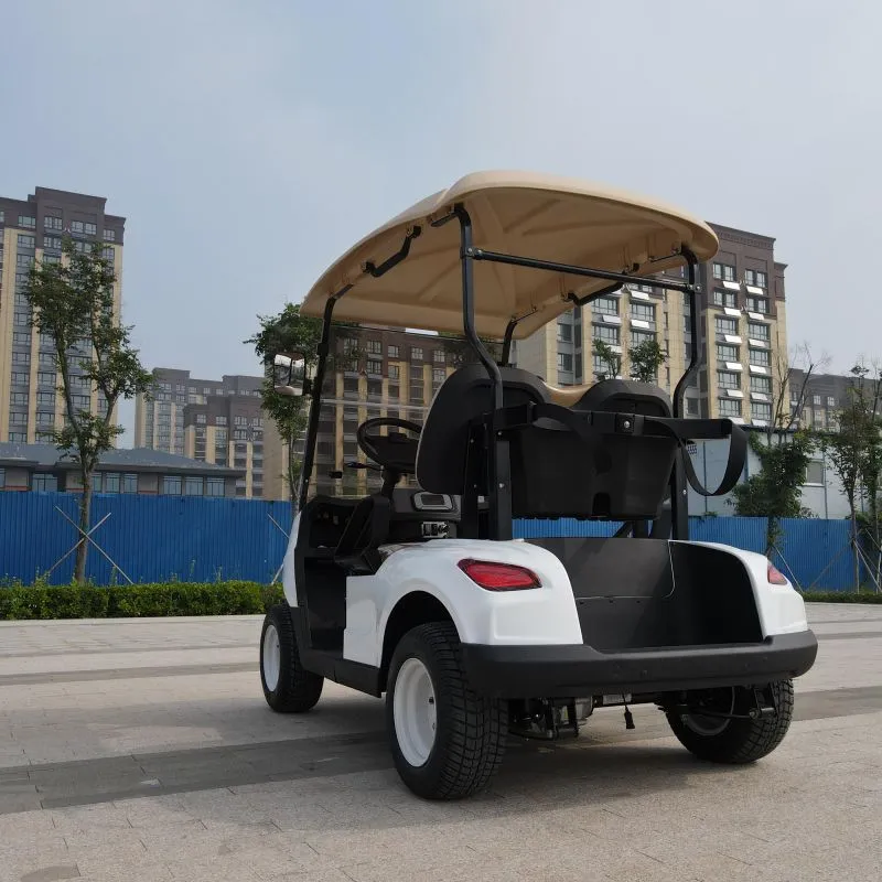 Factory OEM ODM Electric Scooter Golf Car Cart for Sale