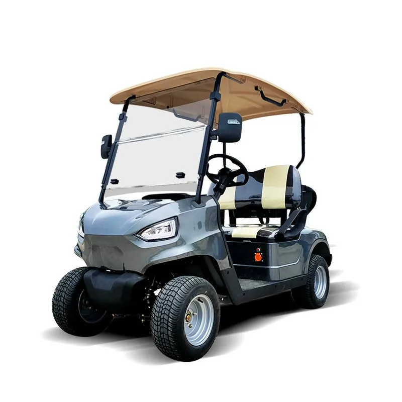 ISO Approved Cart Buggies Electric Golf Buggy with High Quality Hkgr-C2