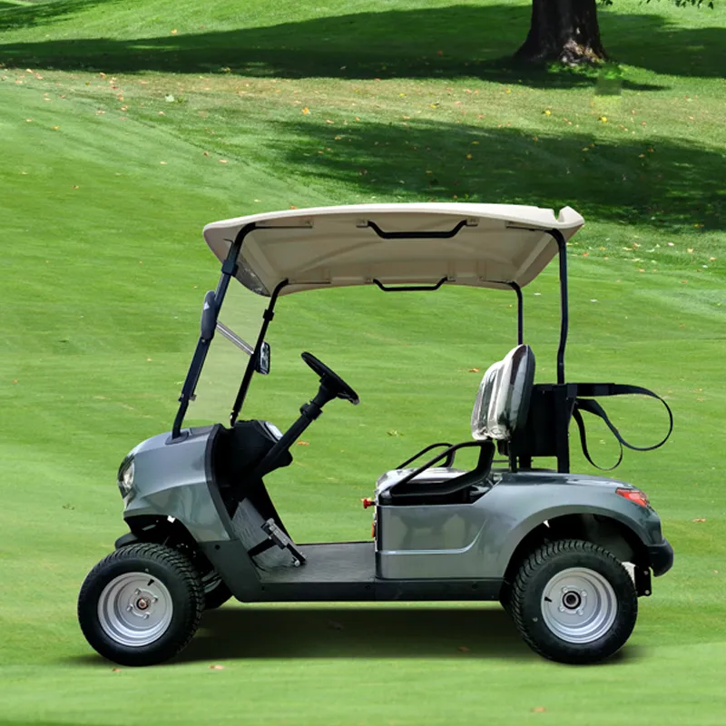 Packed and Loaded by Container 1-2 Cart Vehicle Golf Buggy